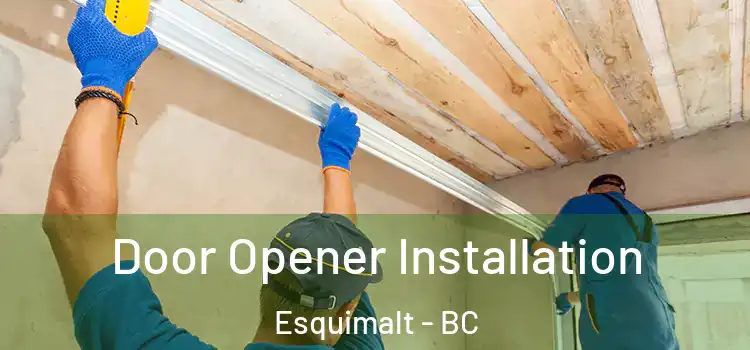  Door Opener Installation Esquimalt - BC
