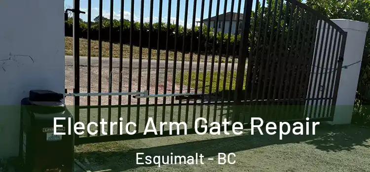 Electric Arm Gate Repair Esquimalt - BC