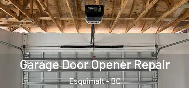  Garage Door Opener Repair Esquimalt - BC