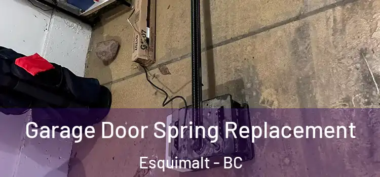  Garage Door Spring Replacement Esquimalt - BC