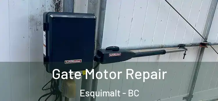 Gate Motor Repair Esquimalt - BC