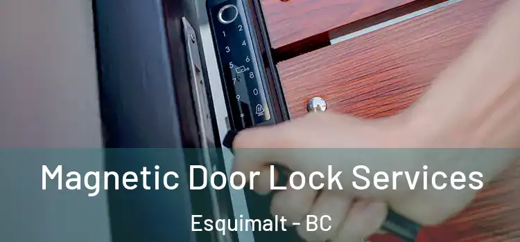 Magnetic Door Lock Services Esquimalt - BC