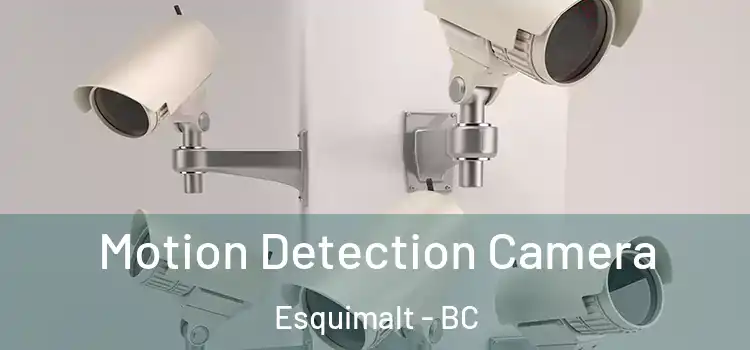  Motion Detection Camera Esquimalt - BC