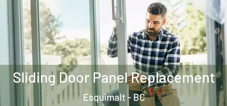  Sliding Door Panel Replacement Esquimalt - BC